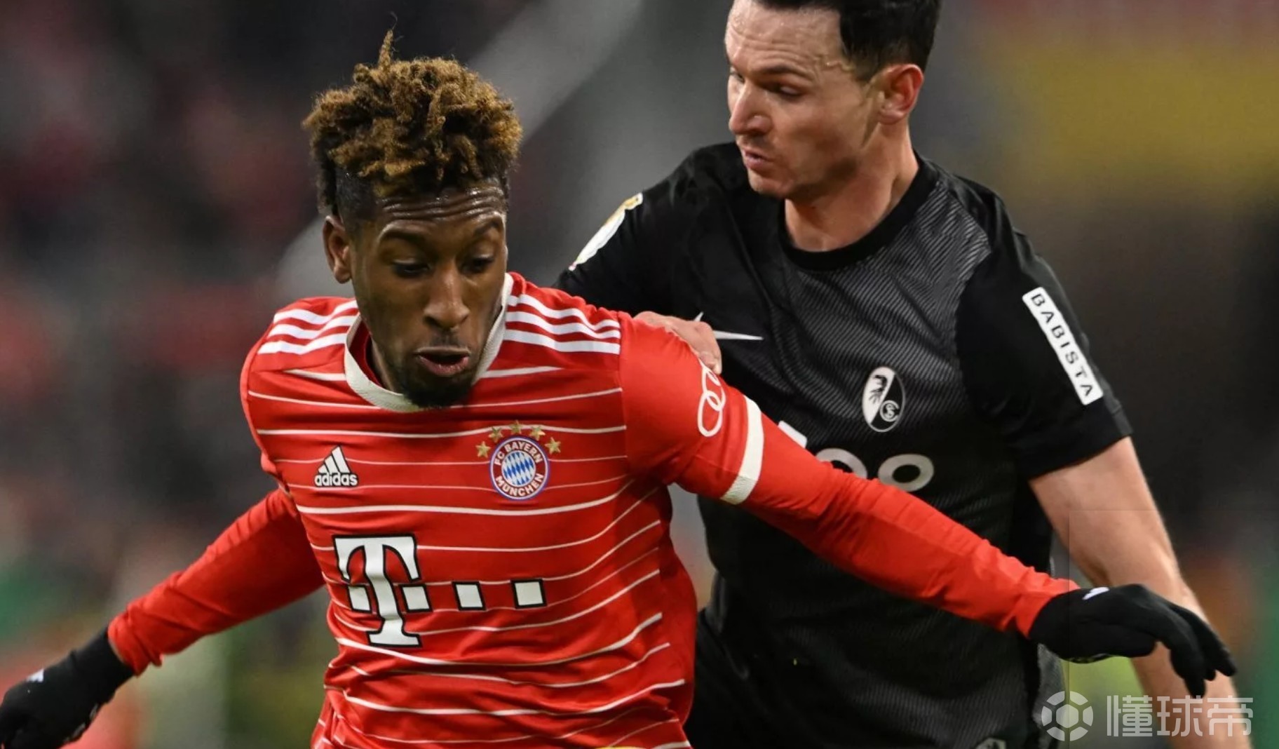 开云网址 -明尼苏达森林狼发布备战花絮，国际比赛日迎来里程碑，德国杯任务艰巨，赛季目标并未改变的简单介绍